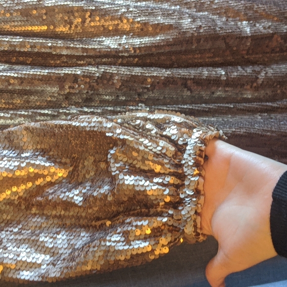 Anthropologie Mare Mare Calliope Sequin Midi - Picture 10 of 17